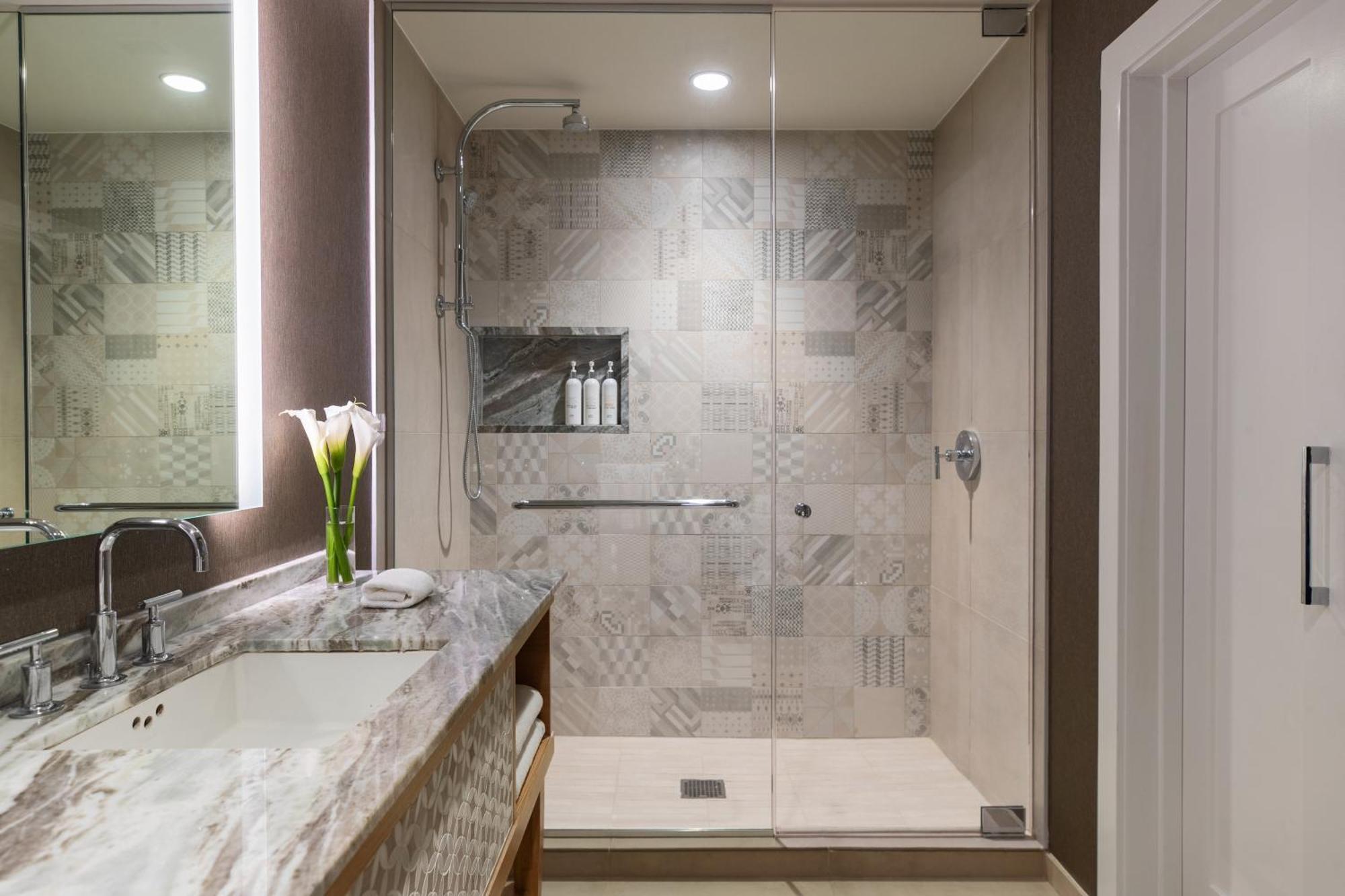 King Suite Mobility Accessible Roll Shower