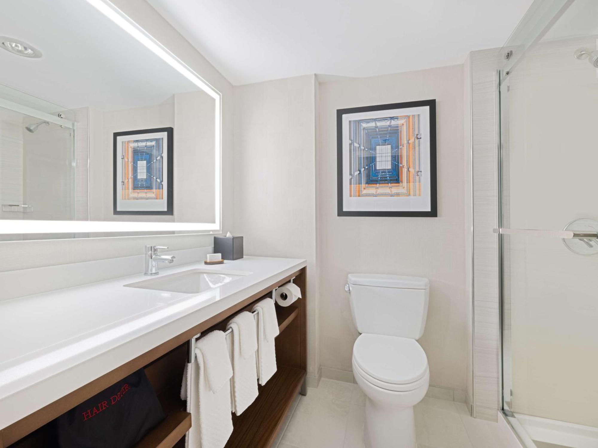 One-Bedroom King Suite Sofa Bed City View
