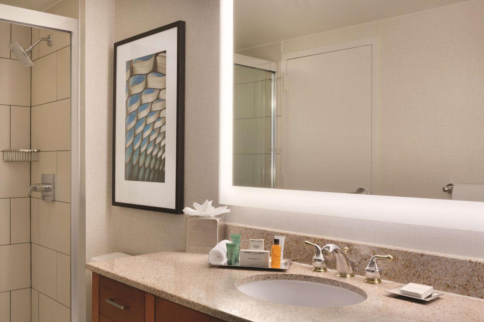 One-Bedroom King Suite