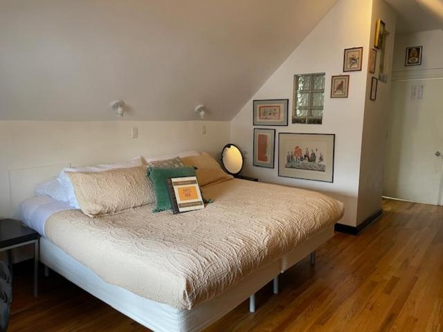 King Room View
