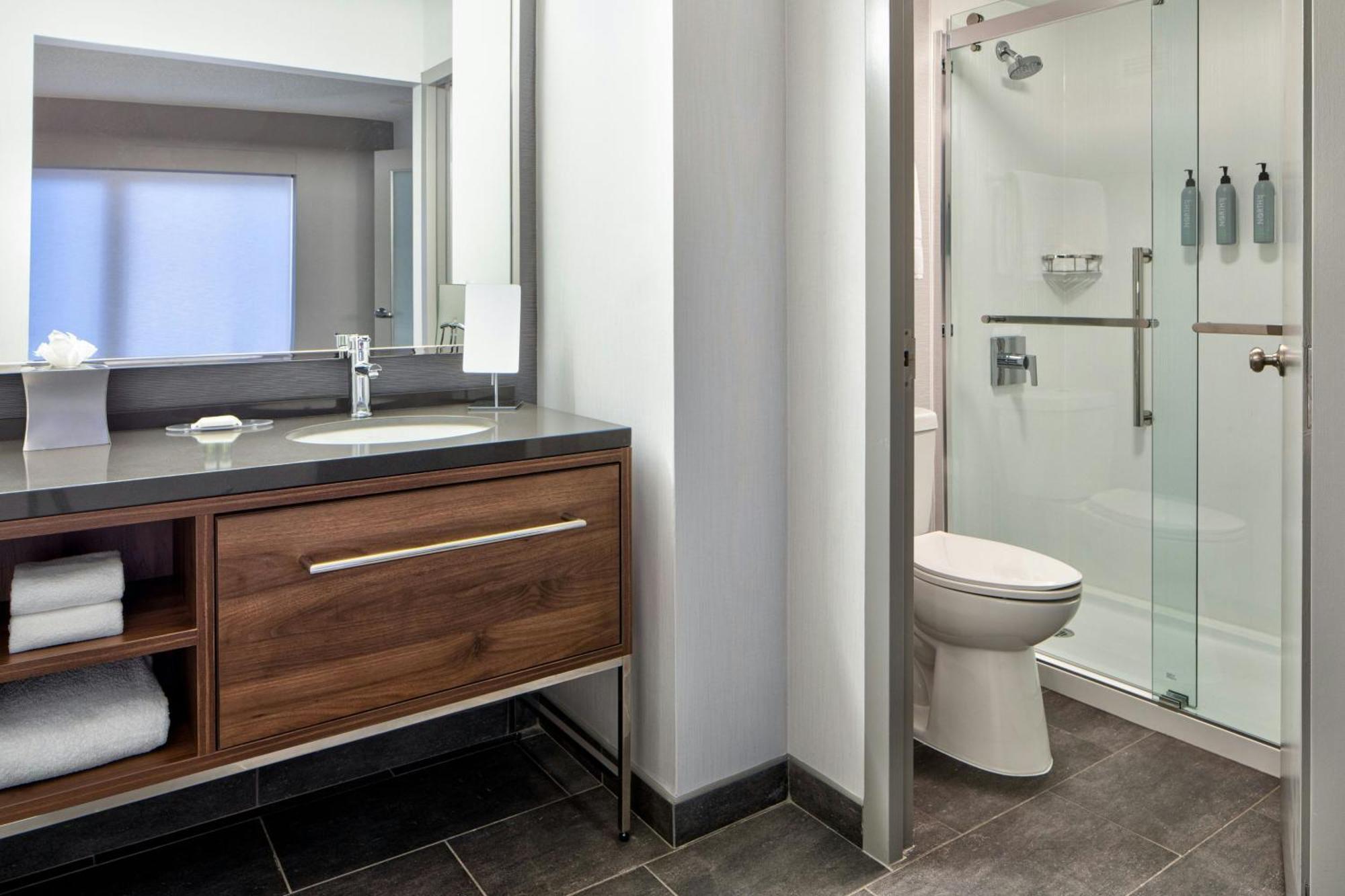 One-Bedroom King Suite with Sofa Bed
