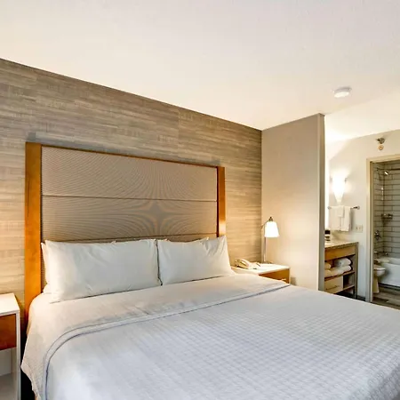Homewood Suites By Hilton Chicago-Downtown-2