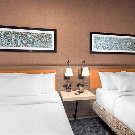Hilton Garden Inn- Chicago Central Loop-3